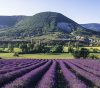 les baronnies provençales