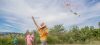 children kite flying