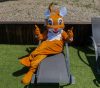 mascotte piscine