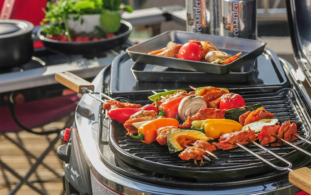 plancha gaz pour vos repas en plein air