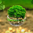 respecte de l environnement thumb