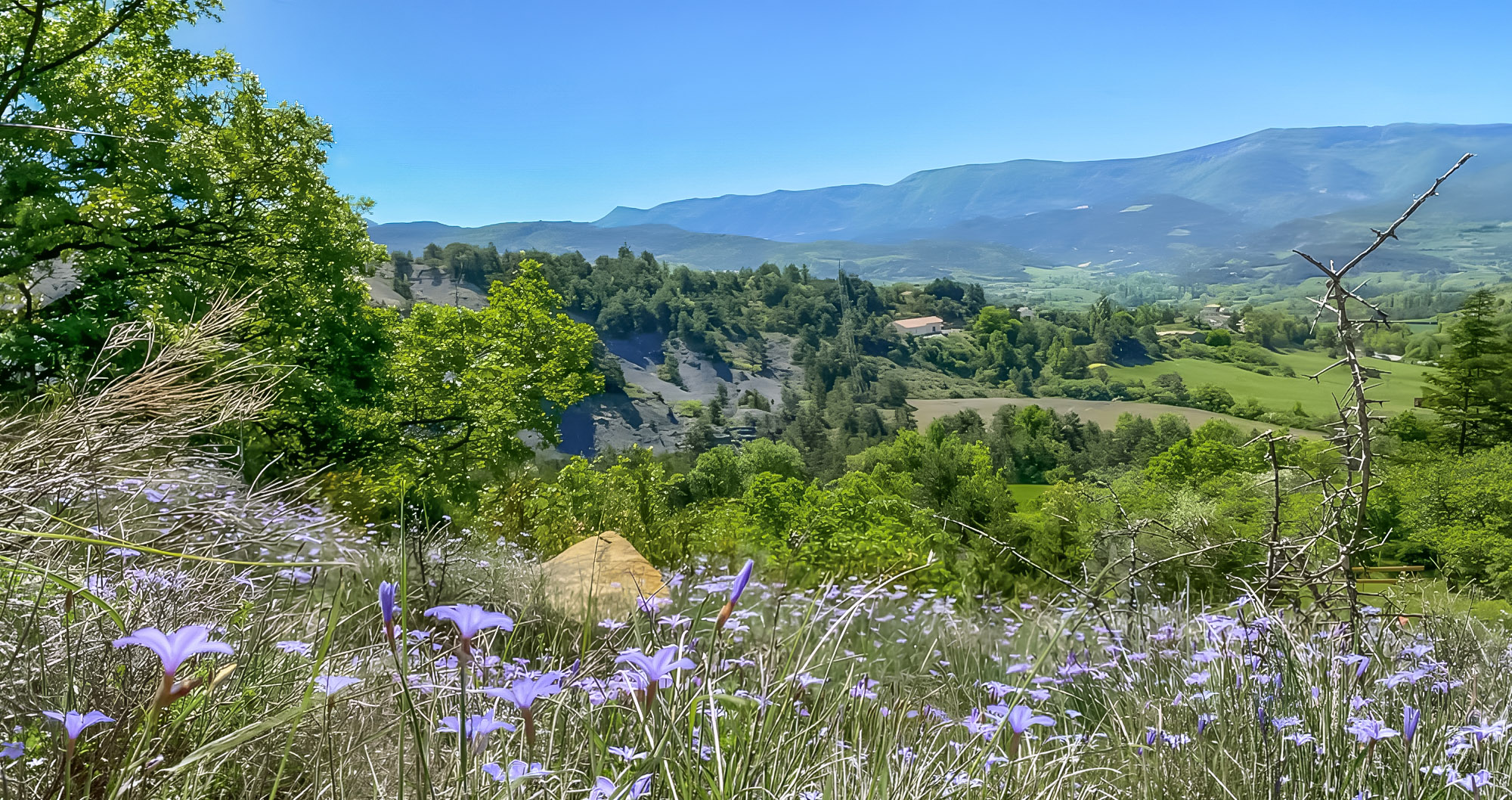 un camping en harmonie avec la nature