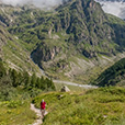 champsaur