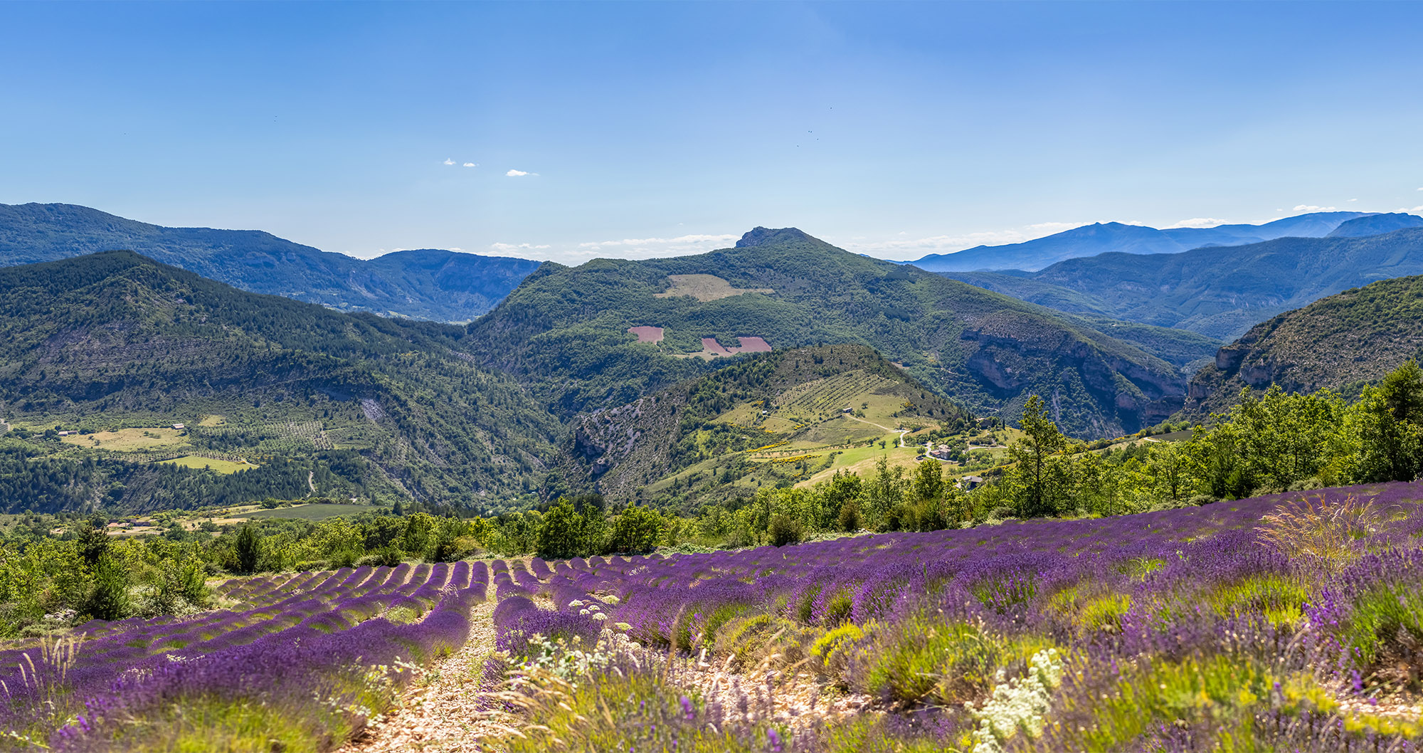 drome provencale