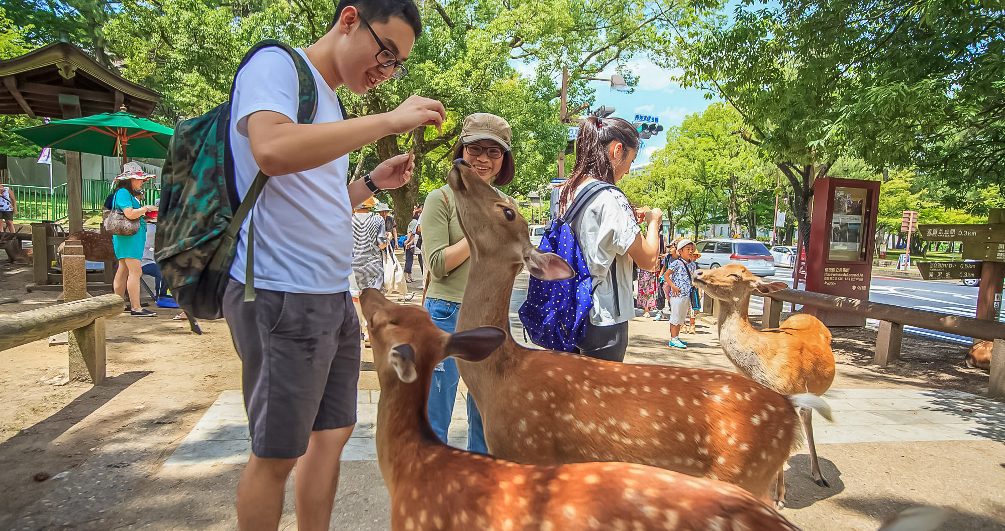 parc animalier de la region
