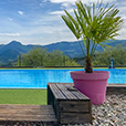 piscine chauffee et detente au soleil