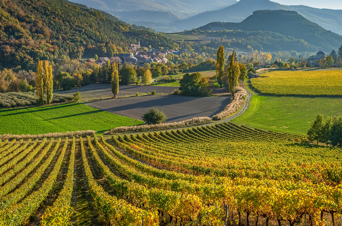 region de la drome provencale
